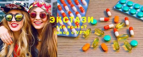 ECSTASY Бородино